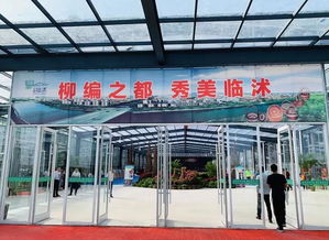 柳編之都 秀美臨沭 一起來看創意柳編吧